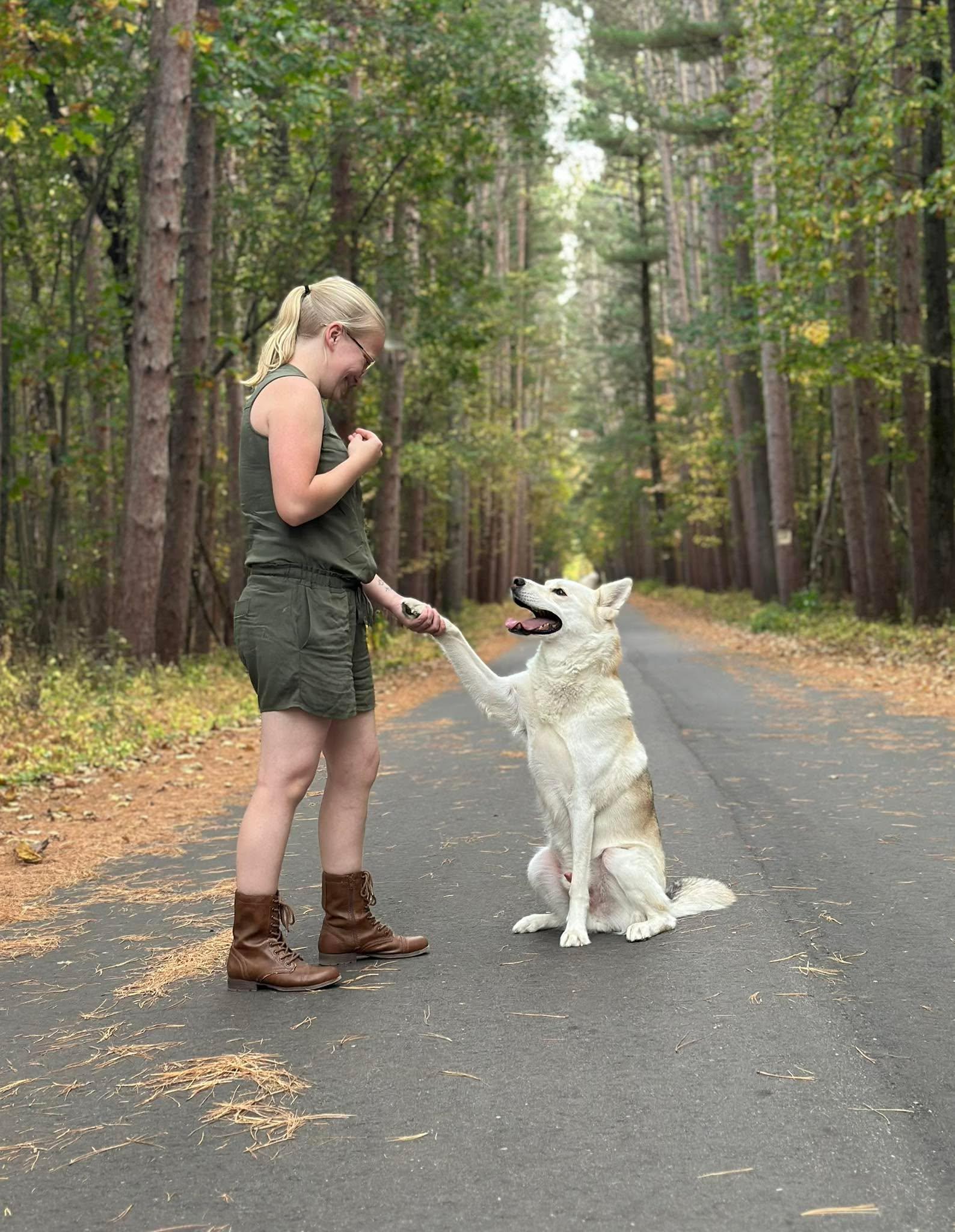 Savannah training Simba, her white husky, to shake a paw on a forest path